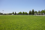 Rec Field