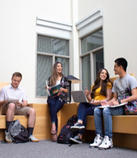 Group of students studying