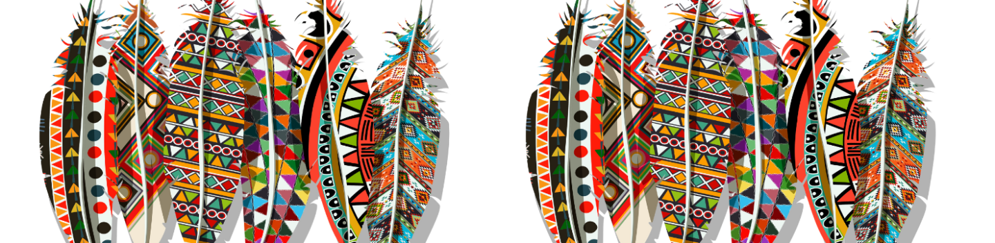 An assortment of various Native American styled feathers.