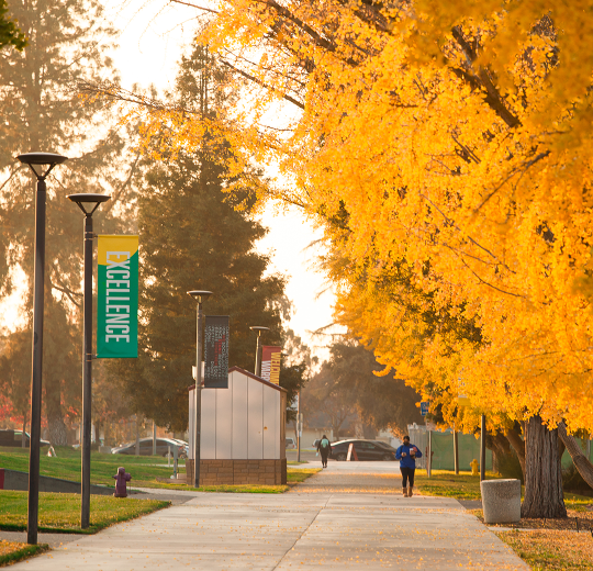 Trees displaying fall colors at Stanislaus State