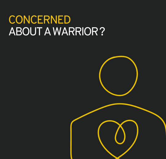 Stan Cares graphic stating, "Concerned about a warrior?" and a yellow silhouette