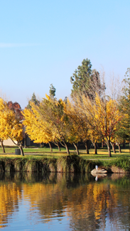 Fall lake mobile background