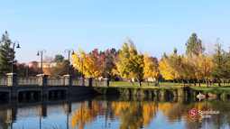 Fall lake background