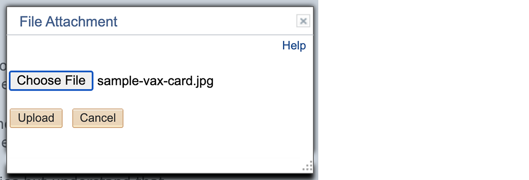 screenshot of file attachment section