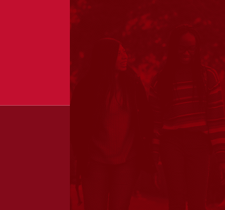 Red duotones swatches.
