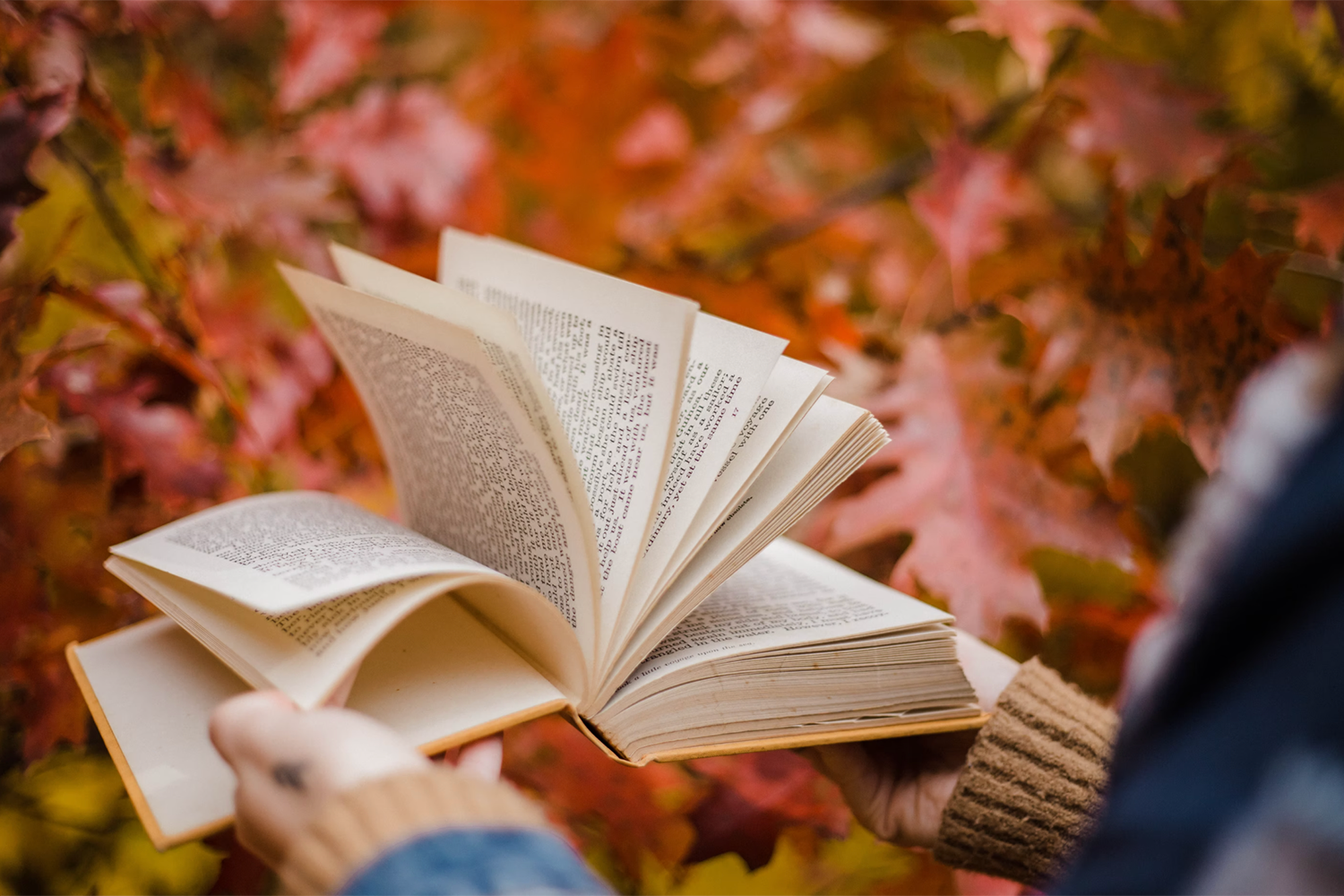 book with fall backdrop