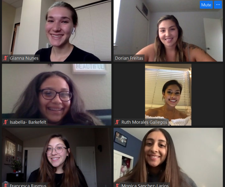 SHAC team on Zoom call