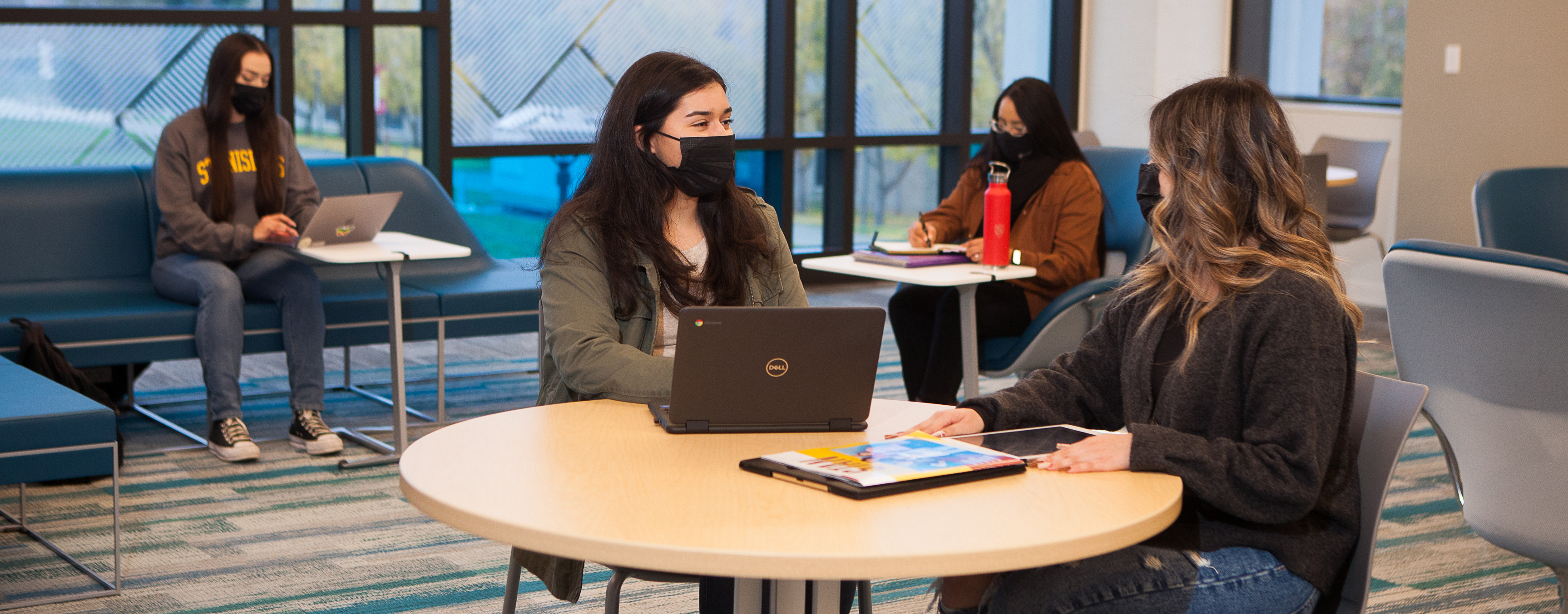 Student studying in the library.