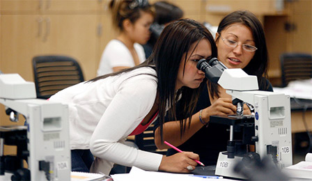 Students using microscope.