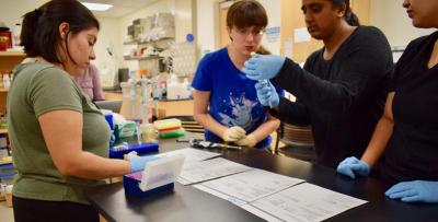 students in a lab
