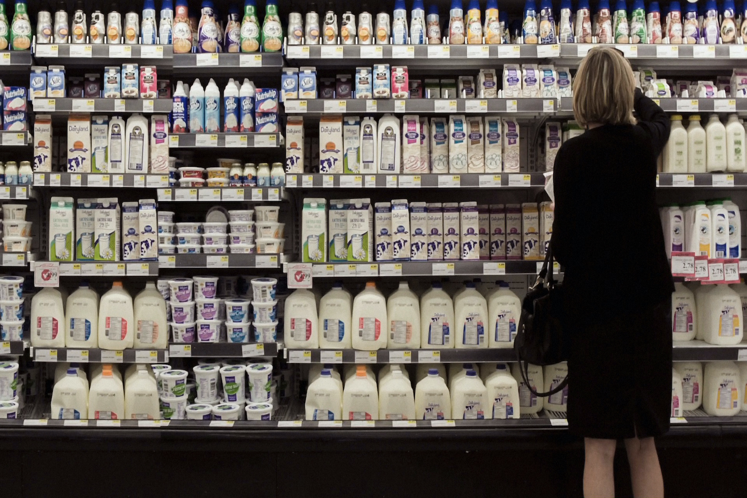 Woman shopping in the dairy product section