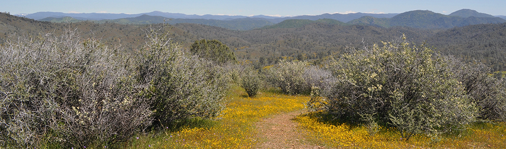red hills plant diversity lab