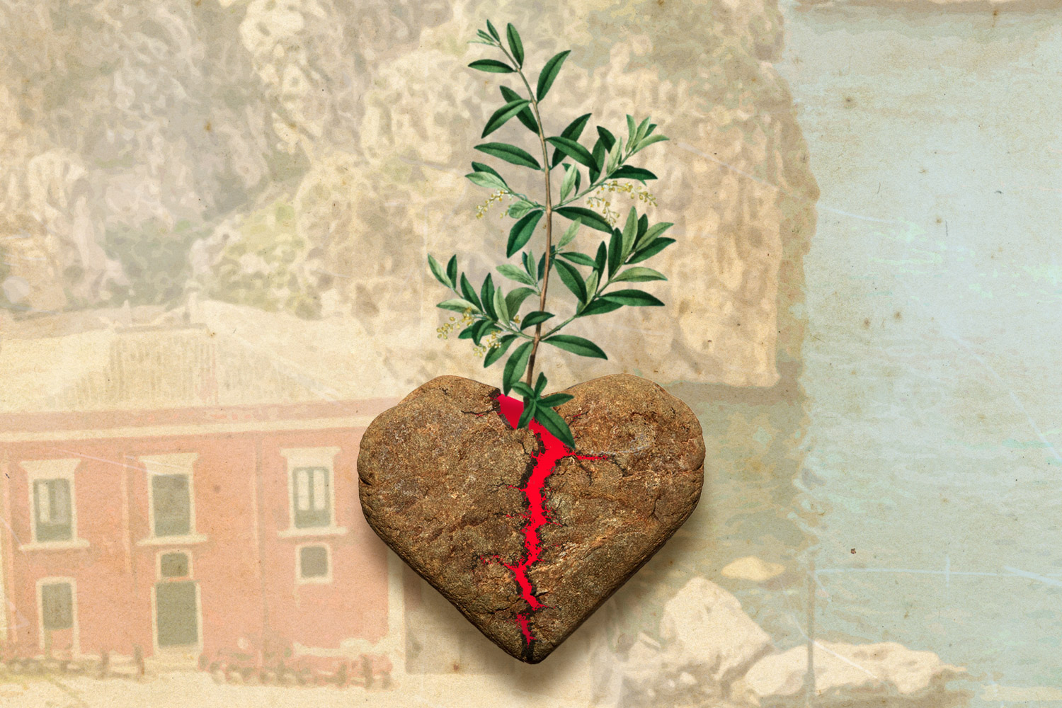 Heart with olive tree