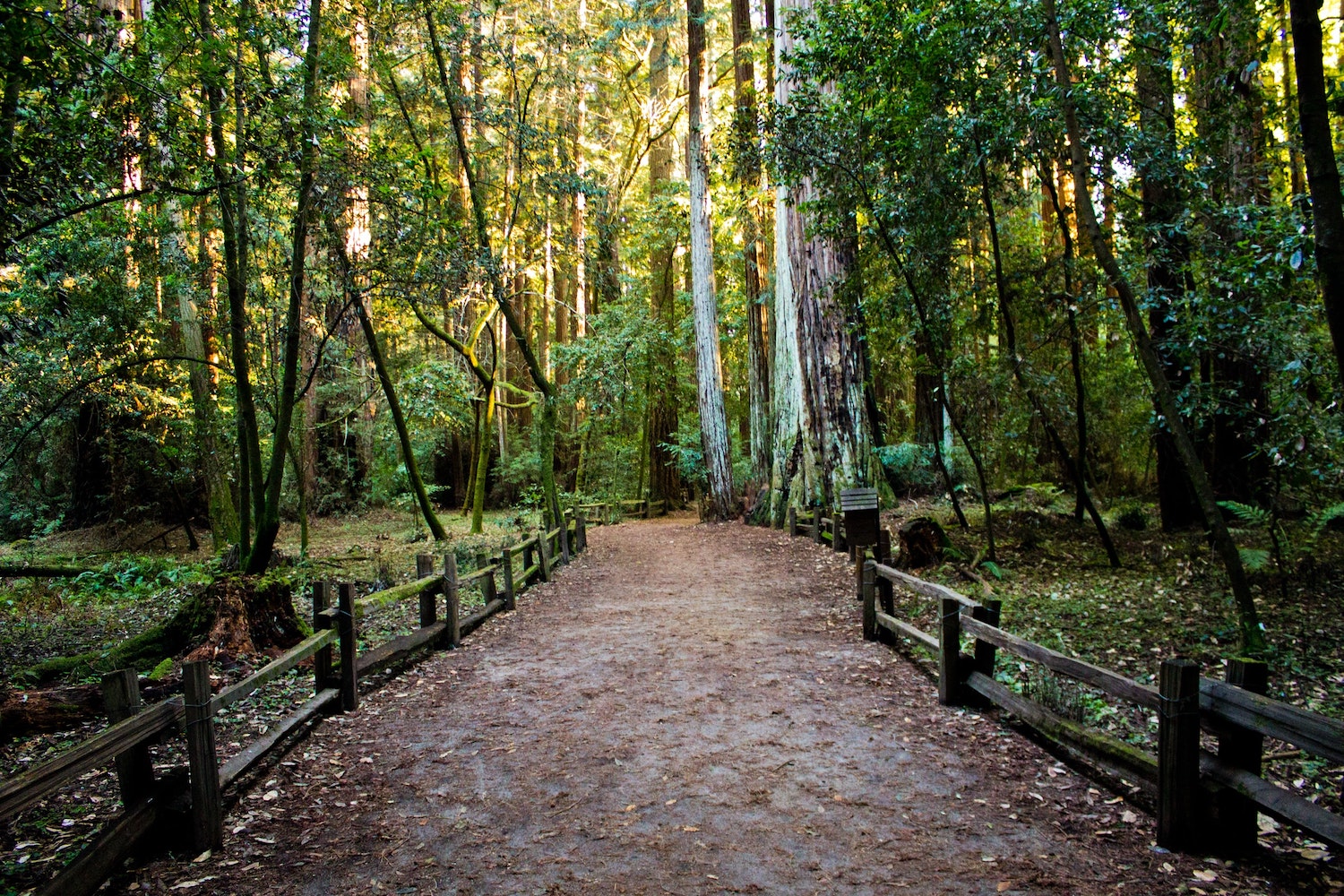 Outdoor hiking path