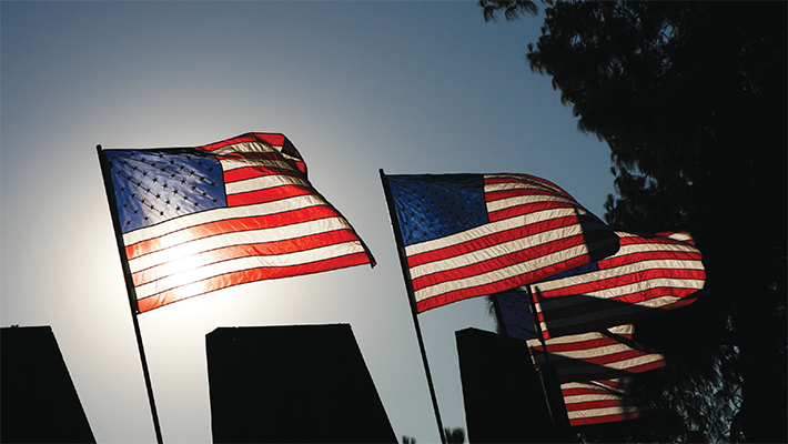 American Flags