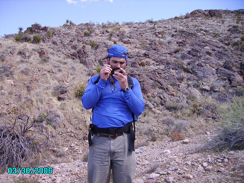 Image of Mario Giaramita