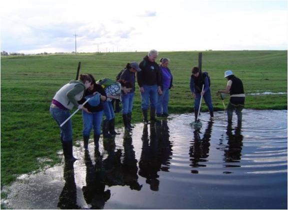 students at vernal pool