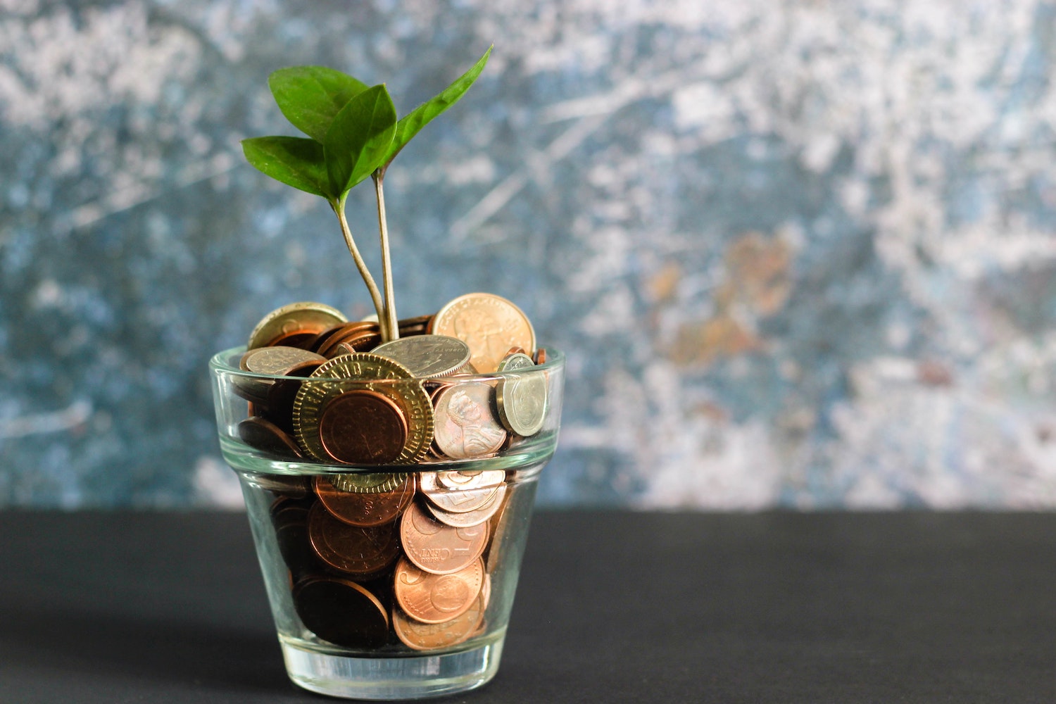Coins in a jar with a plant