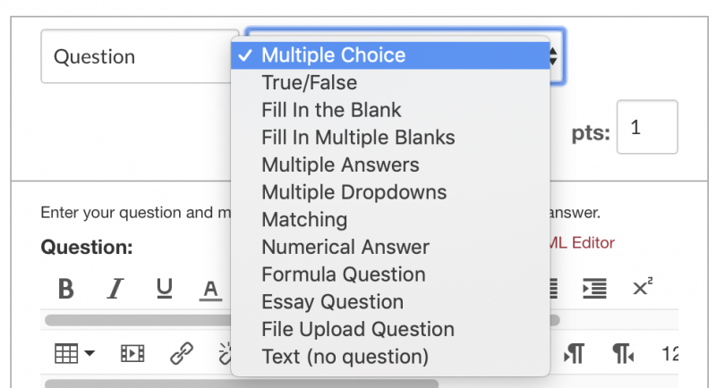 The question type menu opened in a quiz, displaying all the types of questions that Canvas offers