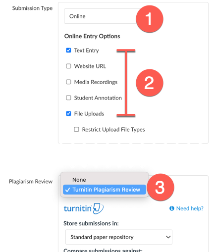 turnitin canvas assignment