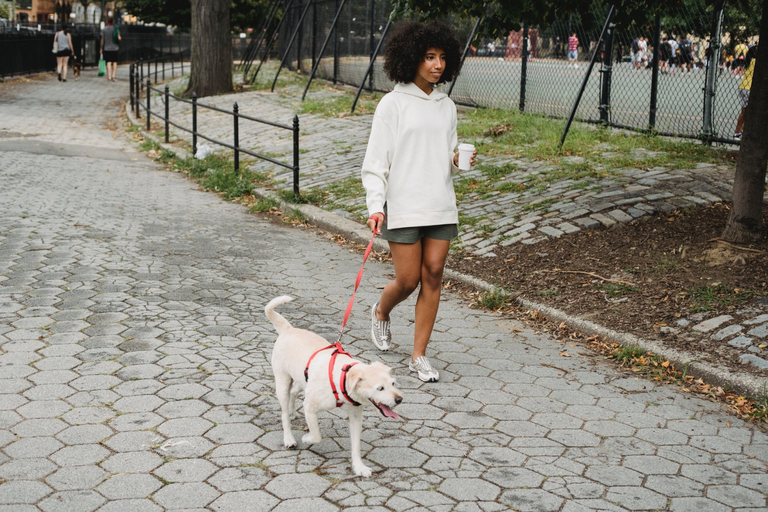 girl walking a dog