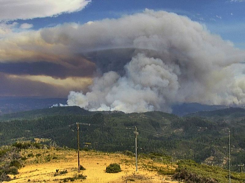 Wildfire