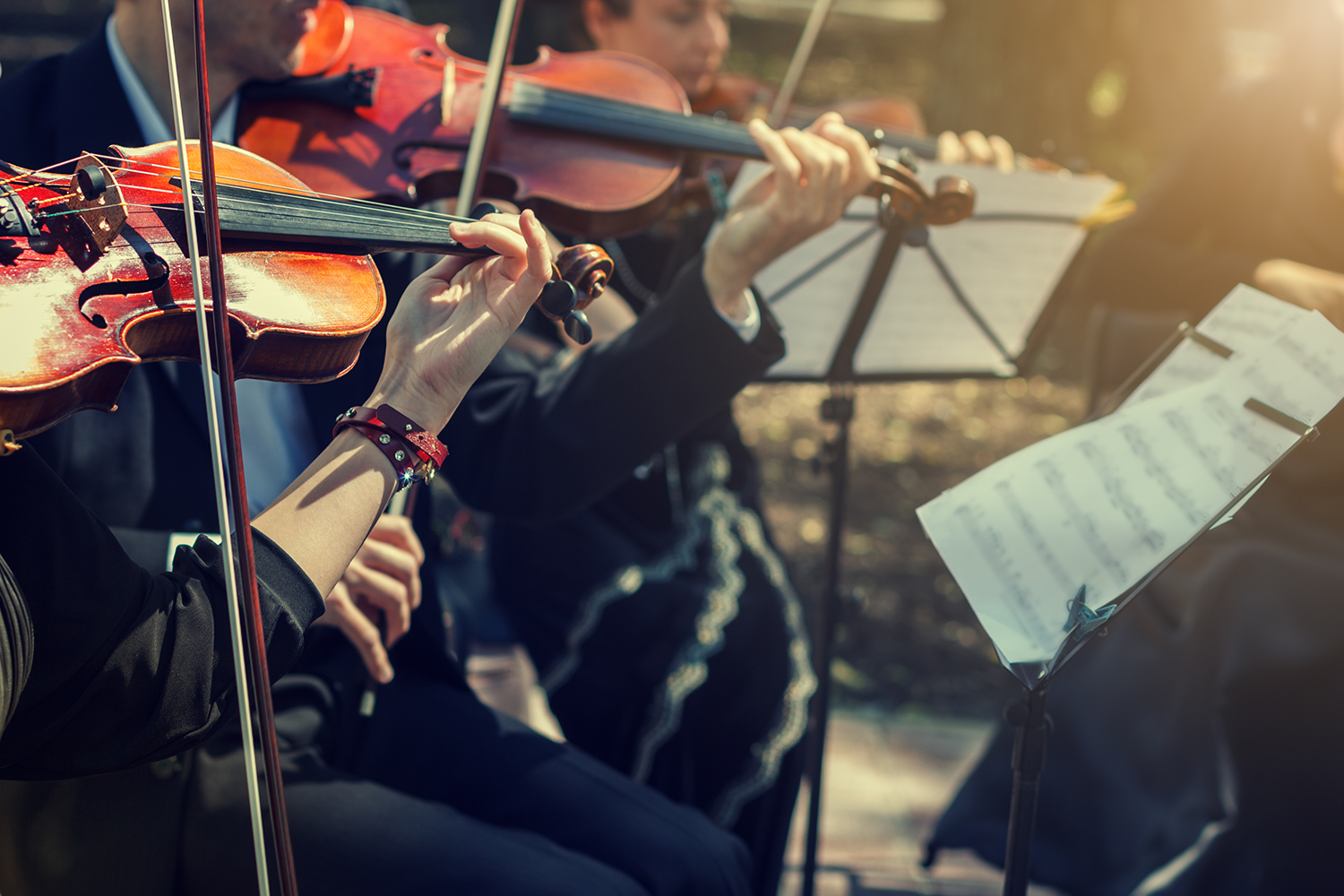 Musicians playing the violin close up