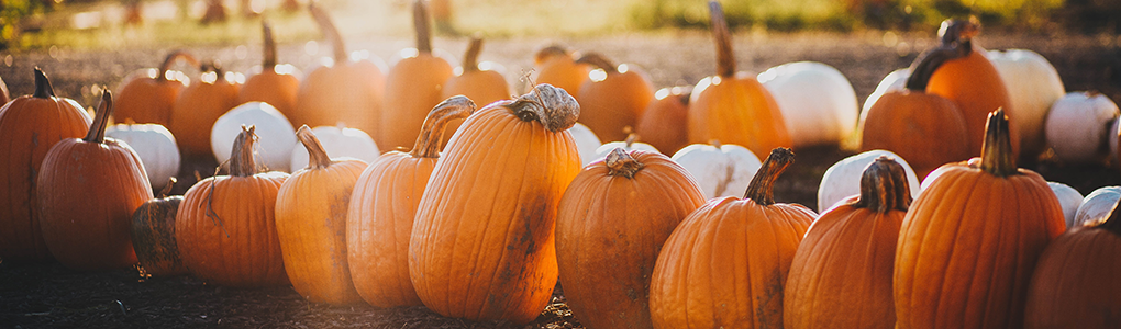 Pumpkins
