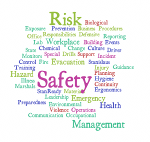 Risk and Insurance Word Cloud