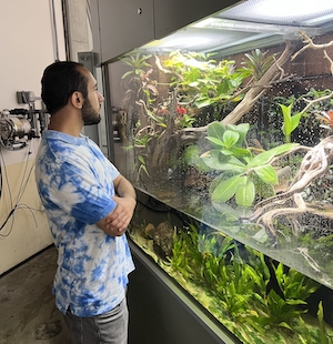 stem_cru_1.jpeg Person looking at an aquarium on the STEM CRU 2022 field trip to the Academy of Sciences
