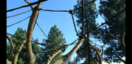 Photo of artwork