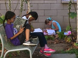 Children studying outside