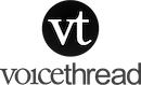 VoiceThread logo