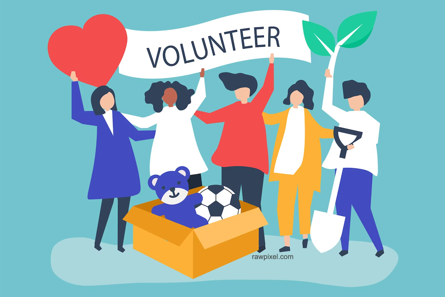 Volunteer