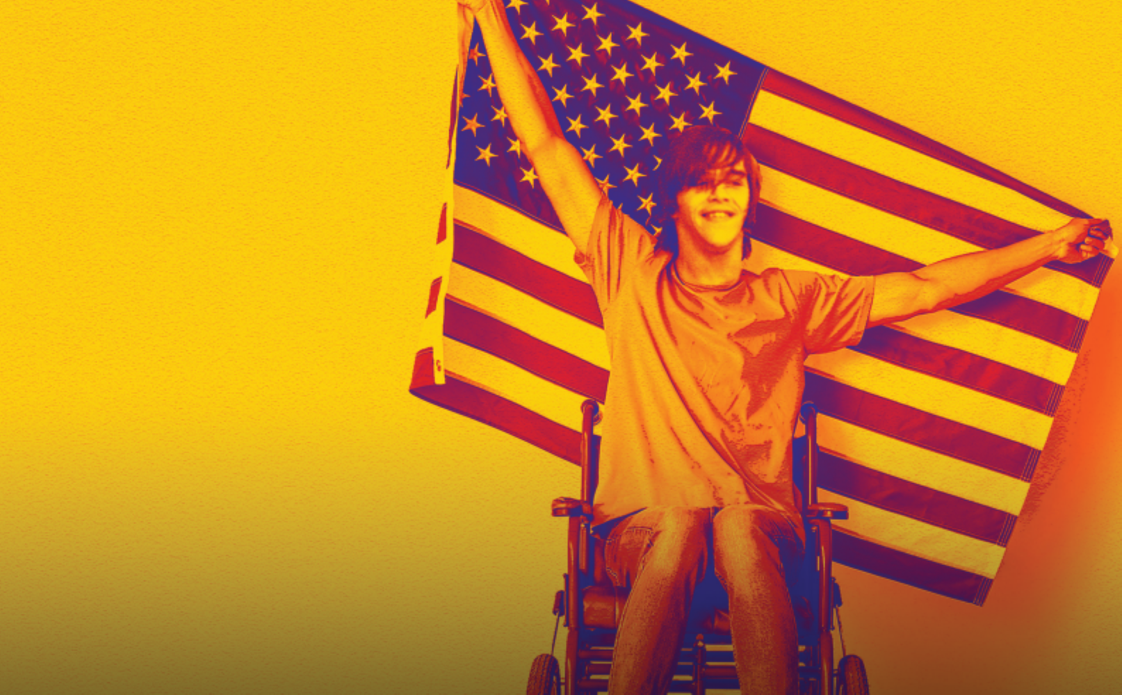 Crip Camp Poster, person in a wheelchair holding a U.S.A. flag