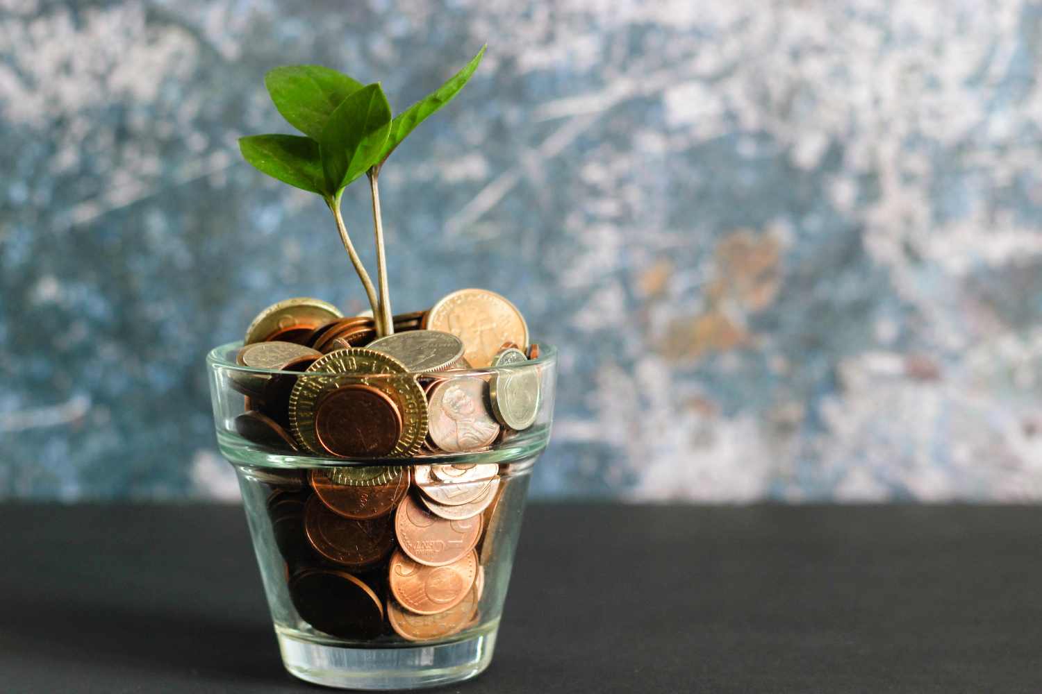 a glass jar filled with various coins and a seedling emerging from it. 