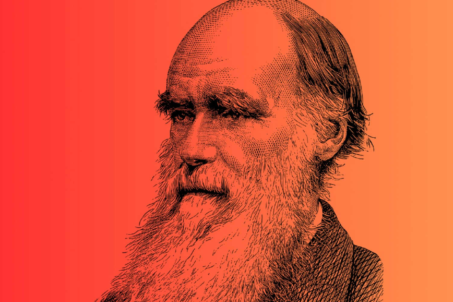 Darwin Day Biology The Science of Life California State University