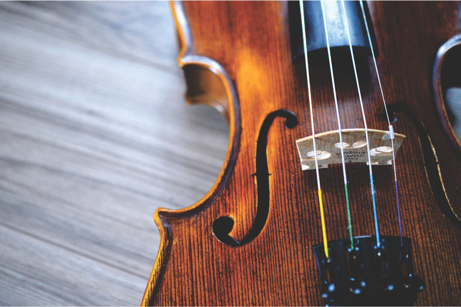 Image of a violin.