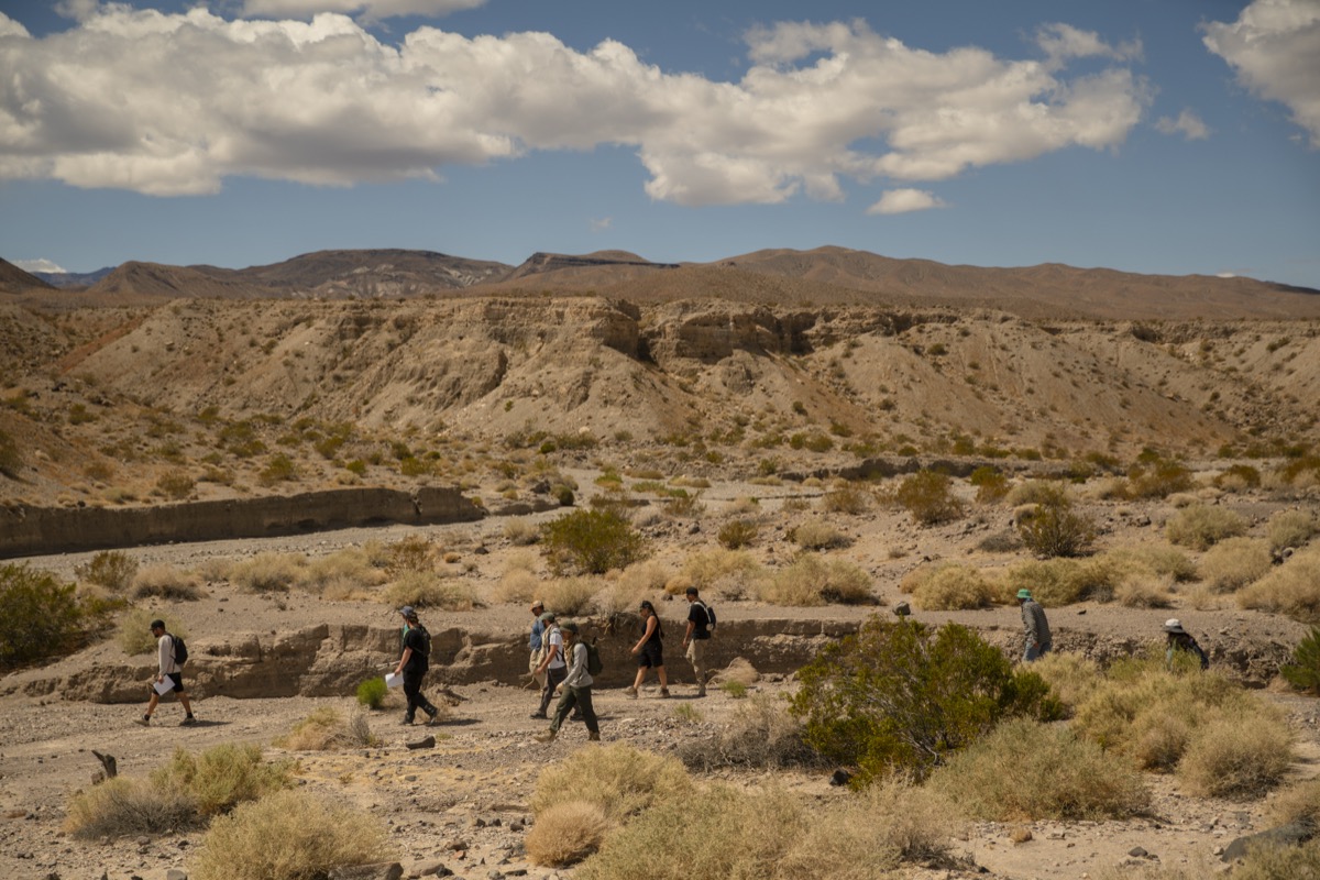 exploring the wash at Mesquite Springs