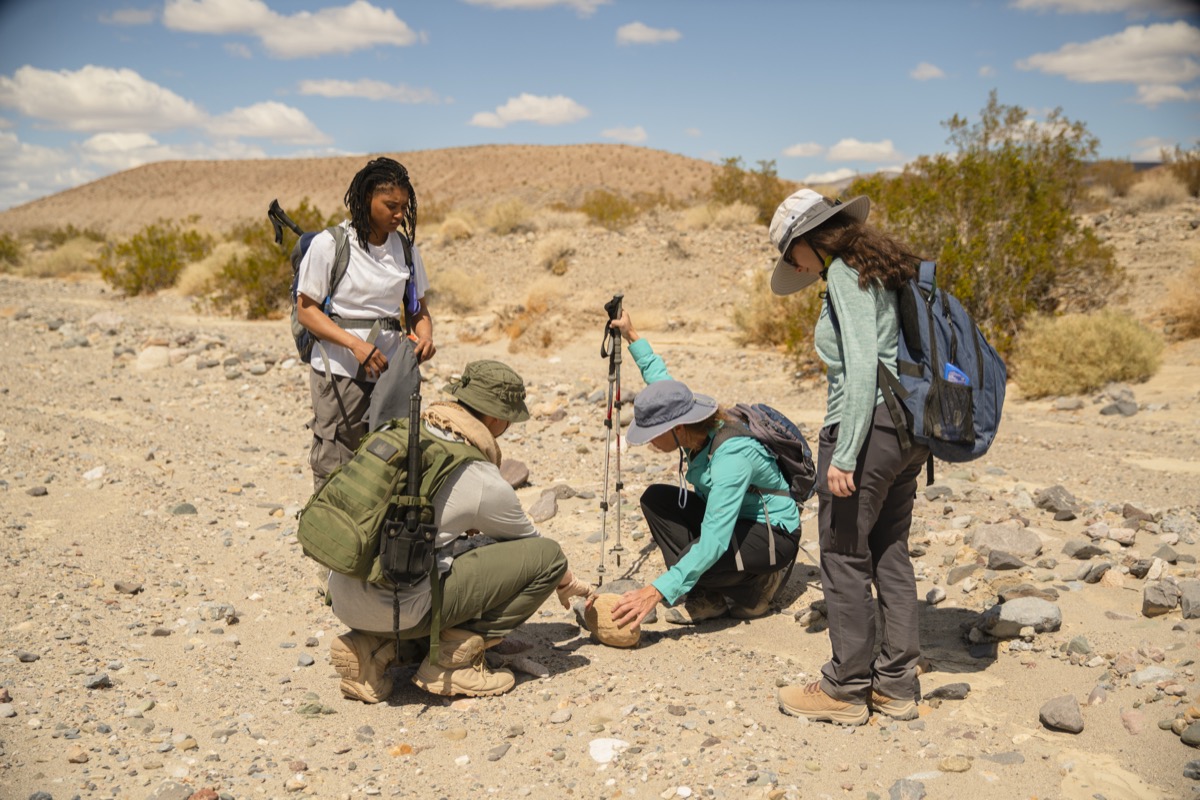 analyzing rocks at Mesquite Springs