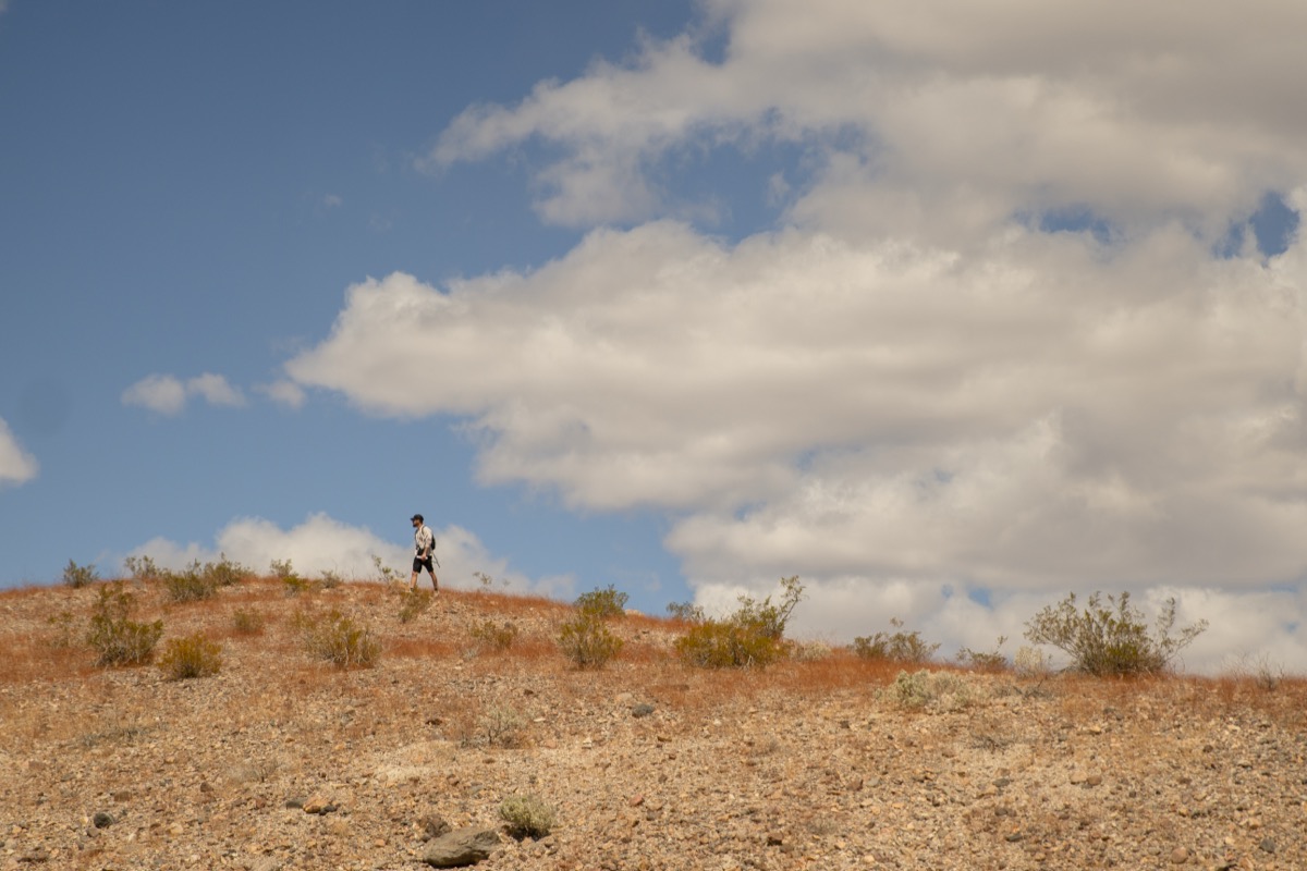 so much to explore in Mesquite Springs