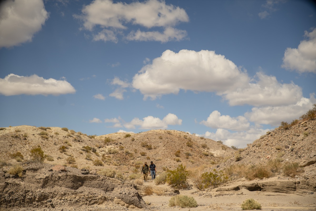 Mesquite Springs