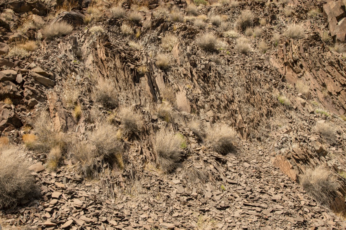 canyon wall texture