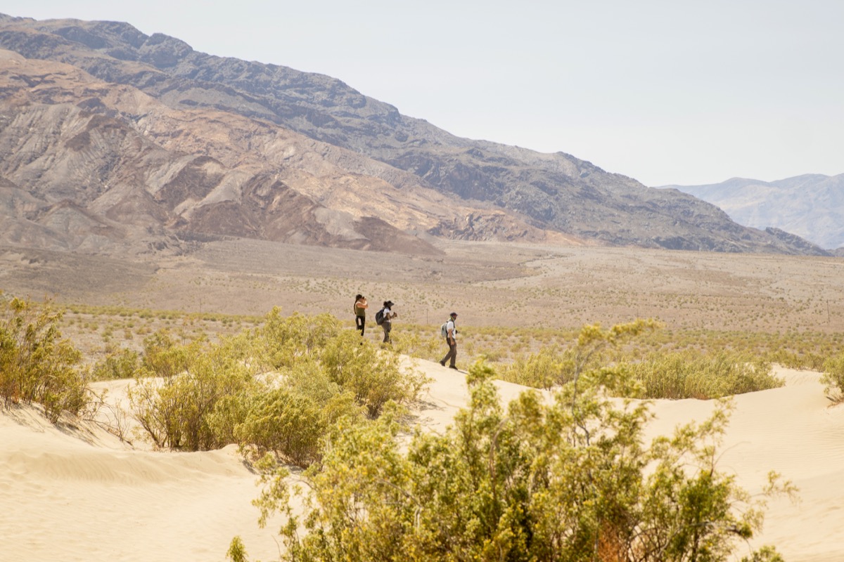 students exploring the dunes