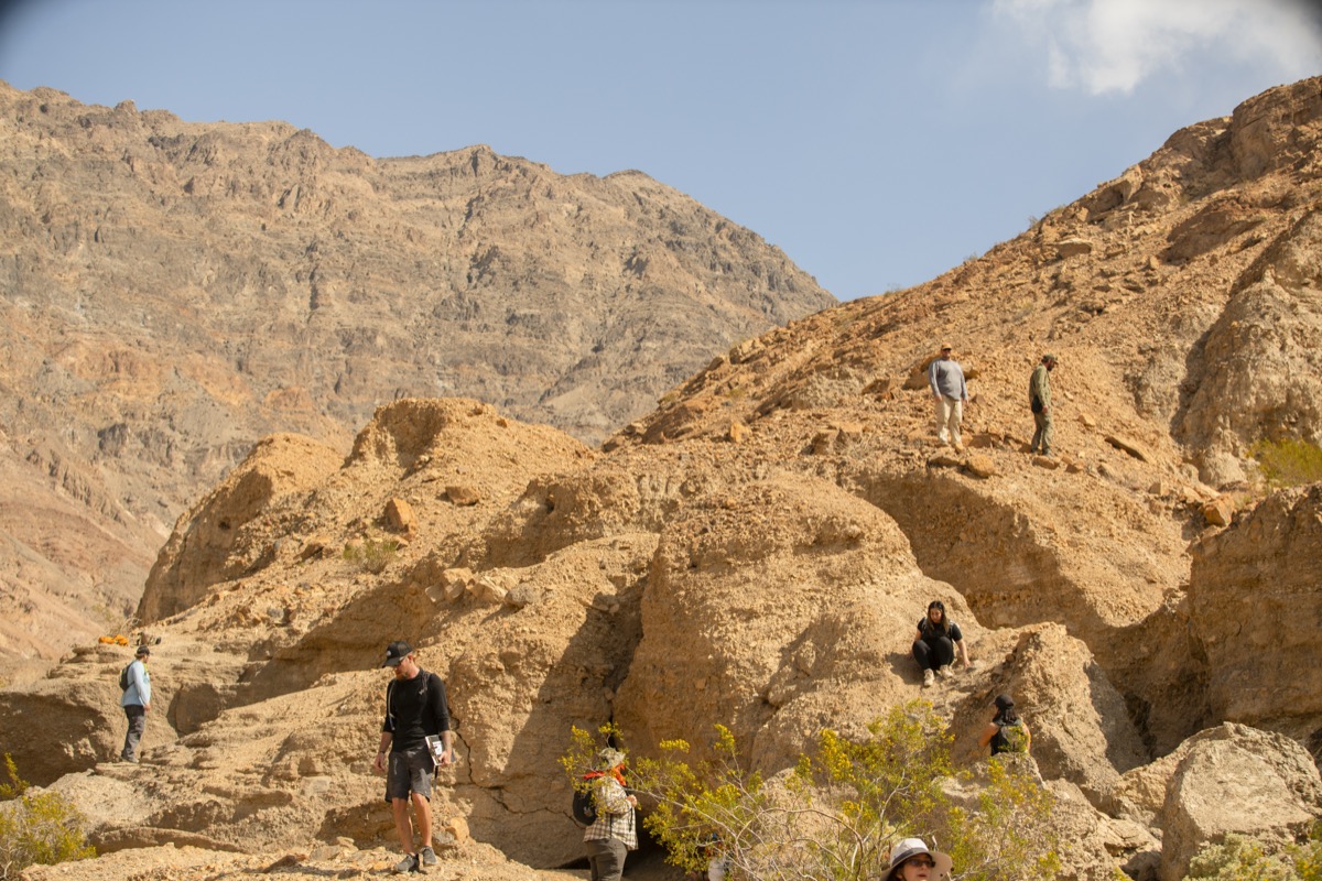 students explore Mosaic Canyon