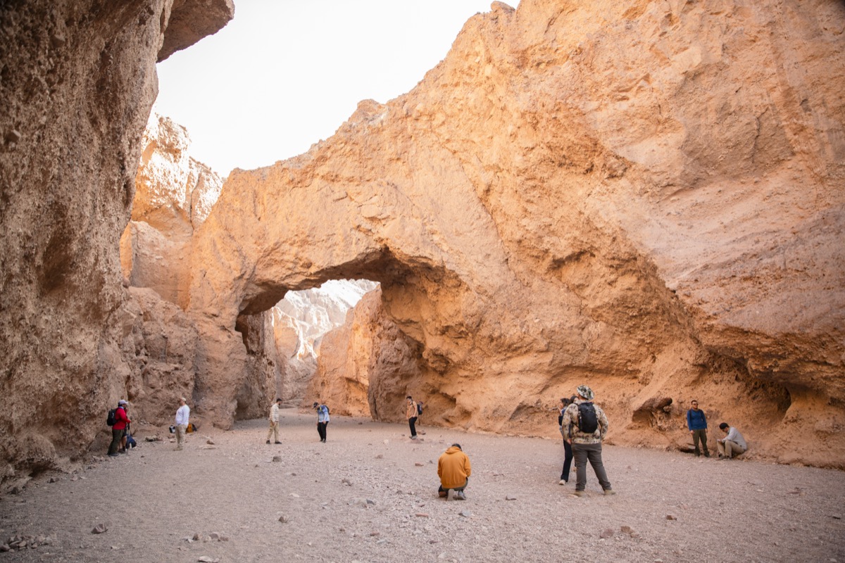 students observing the natural bridge at Natural Bridge Canyon