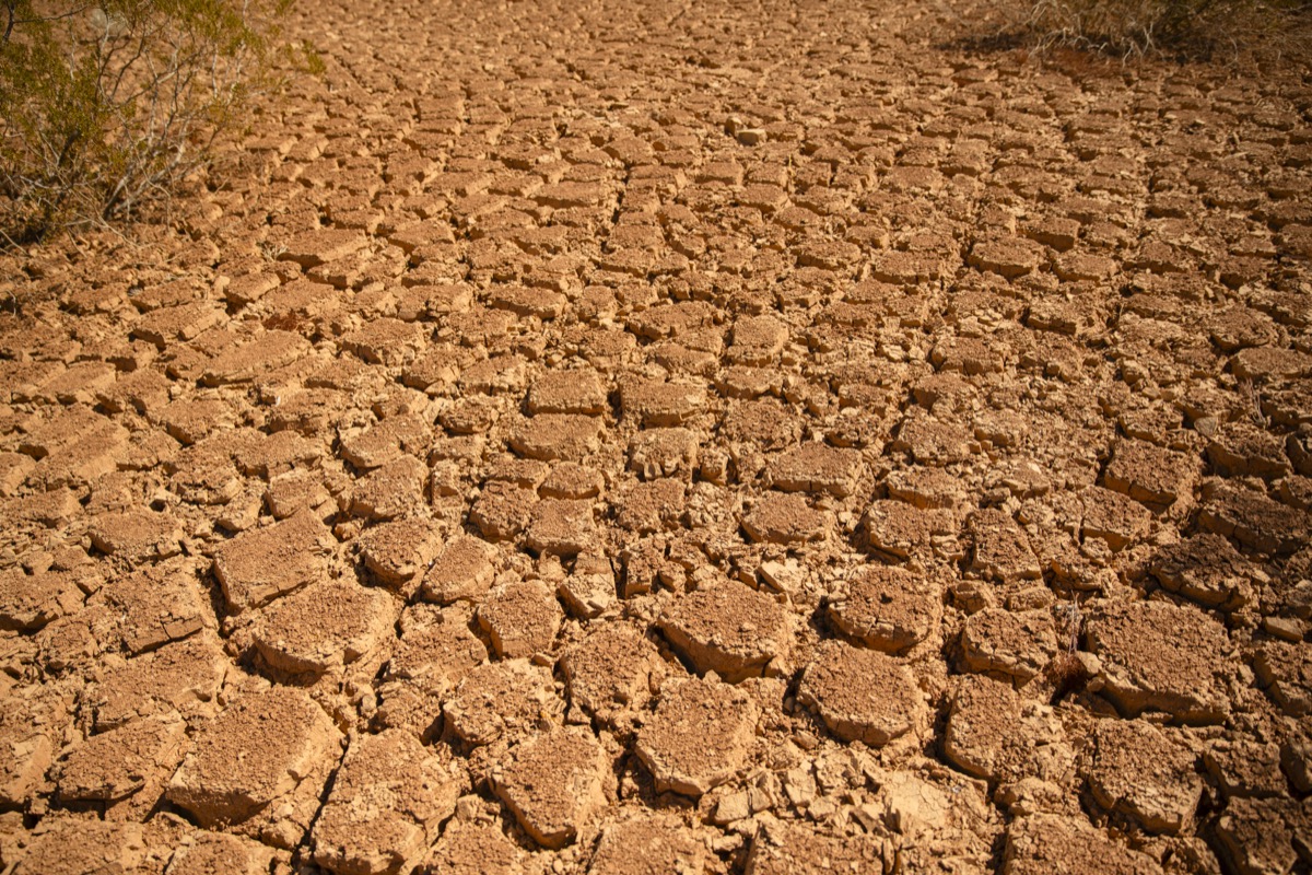 Ubehebe Crater floor, dry and cracked