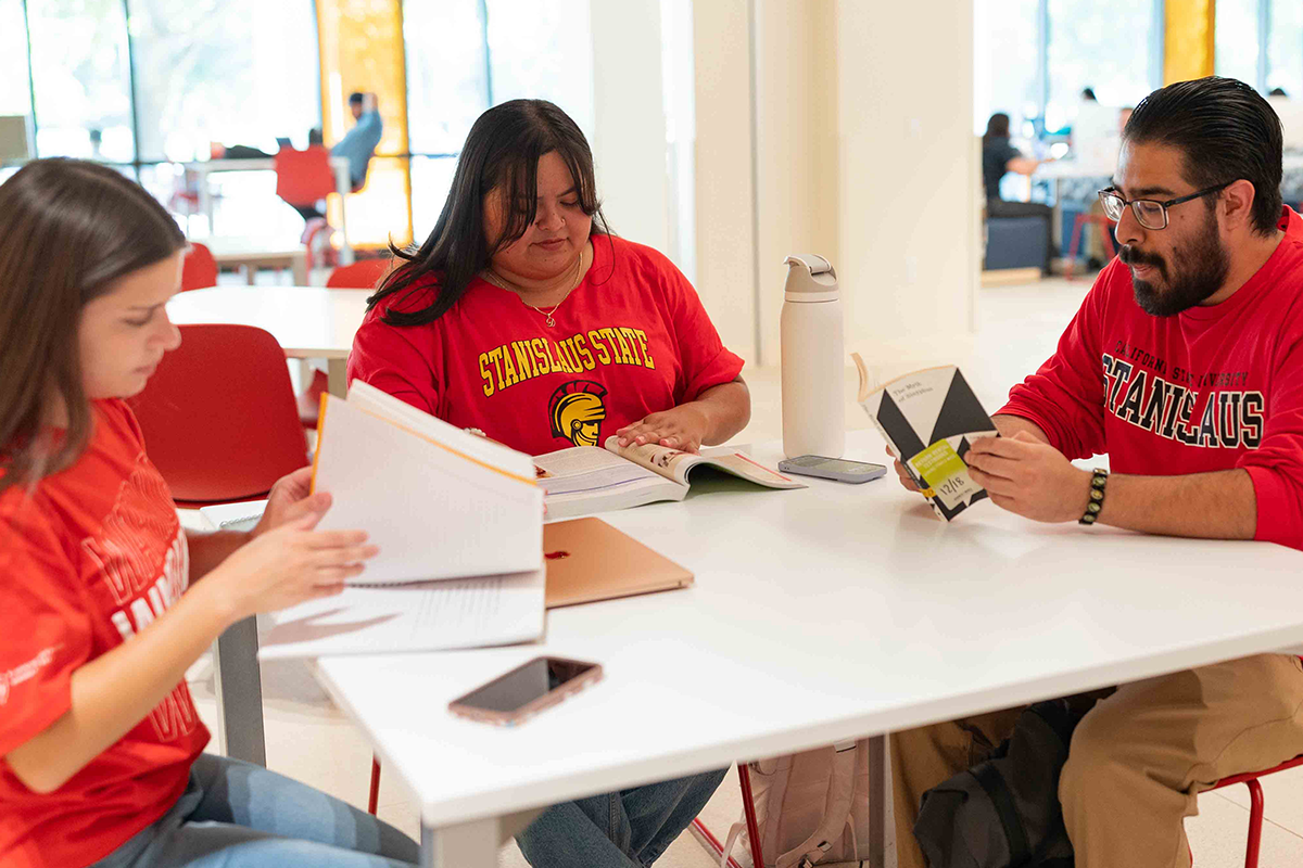 Students studying in the Library.