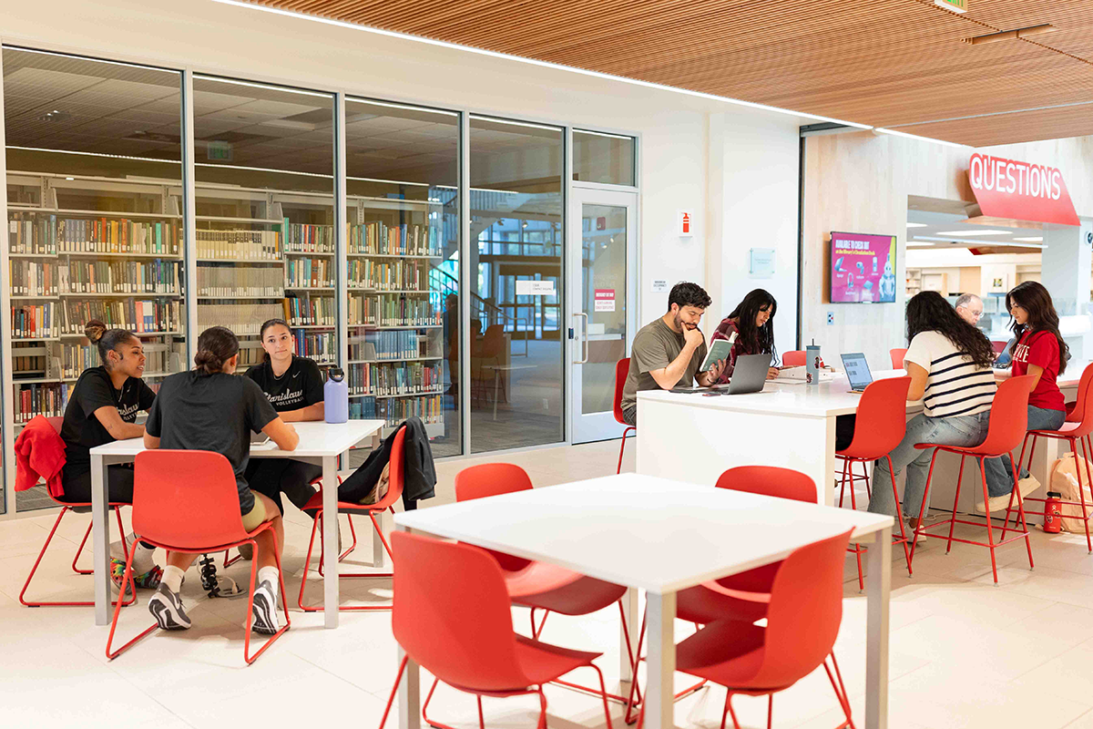 Students studying inside Vasche Library.