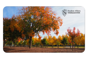 Zoom Background of trees